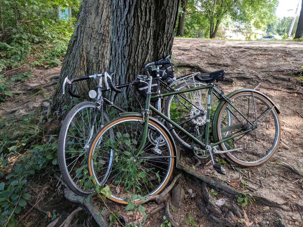 Two bicycles leaning against a large tree in a natural setting, surrounded by greenery.