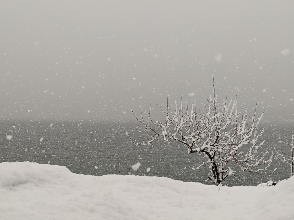 I lashed out on my husband – Effects of unemployment on&nbsp;family.