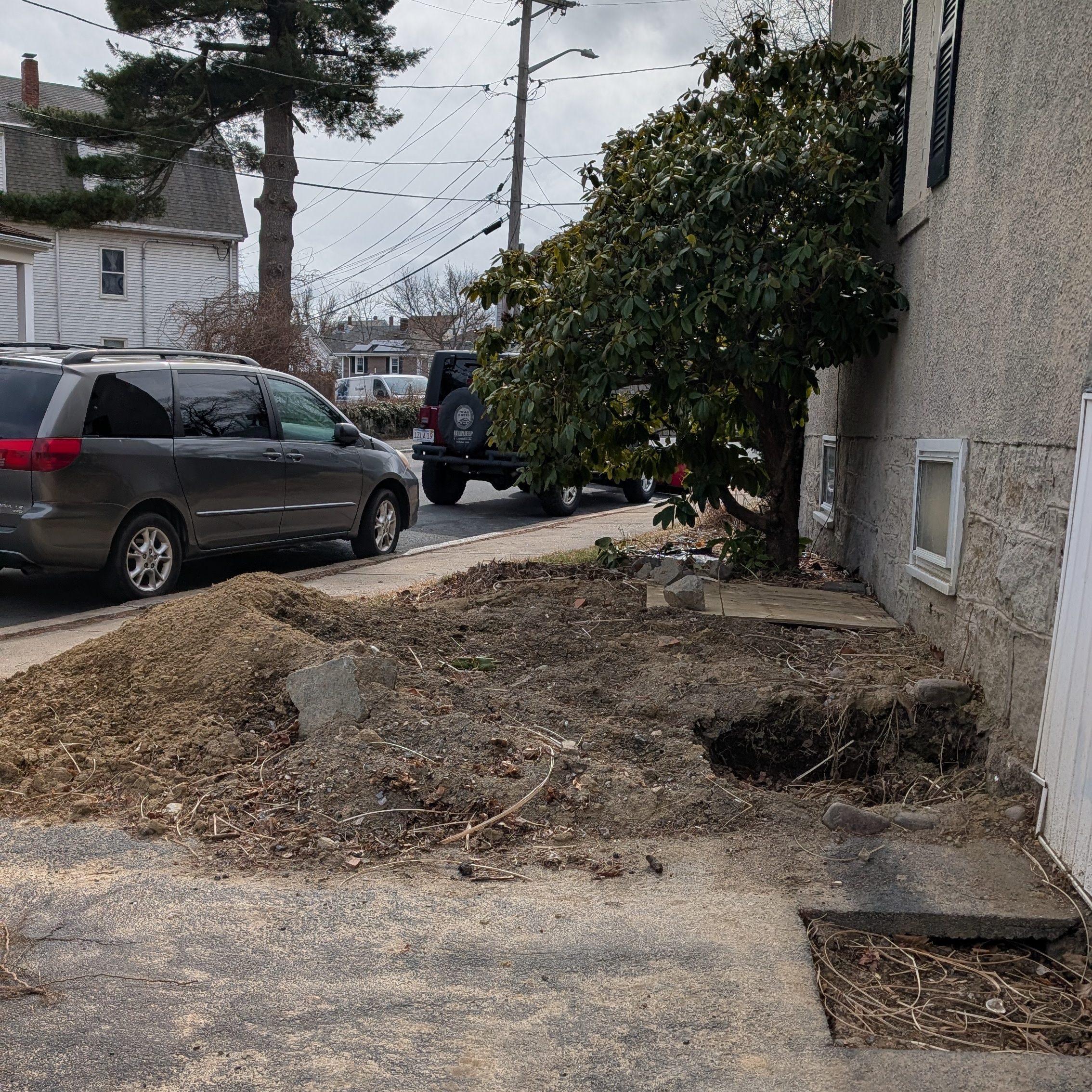 opened areas around my house