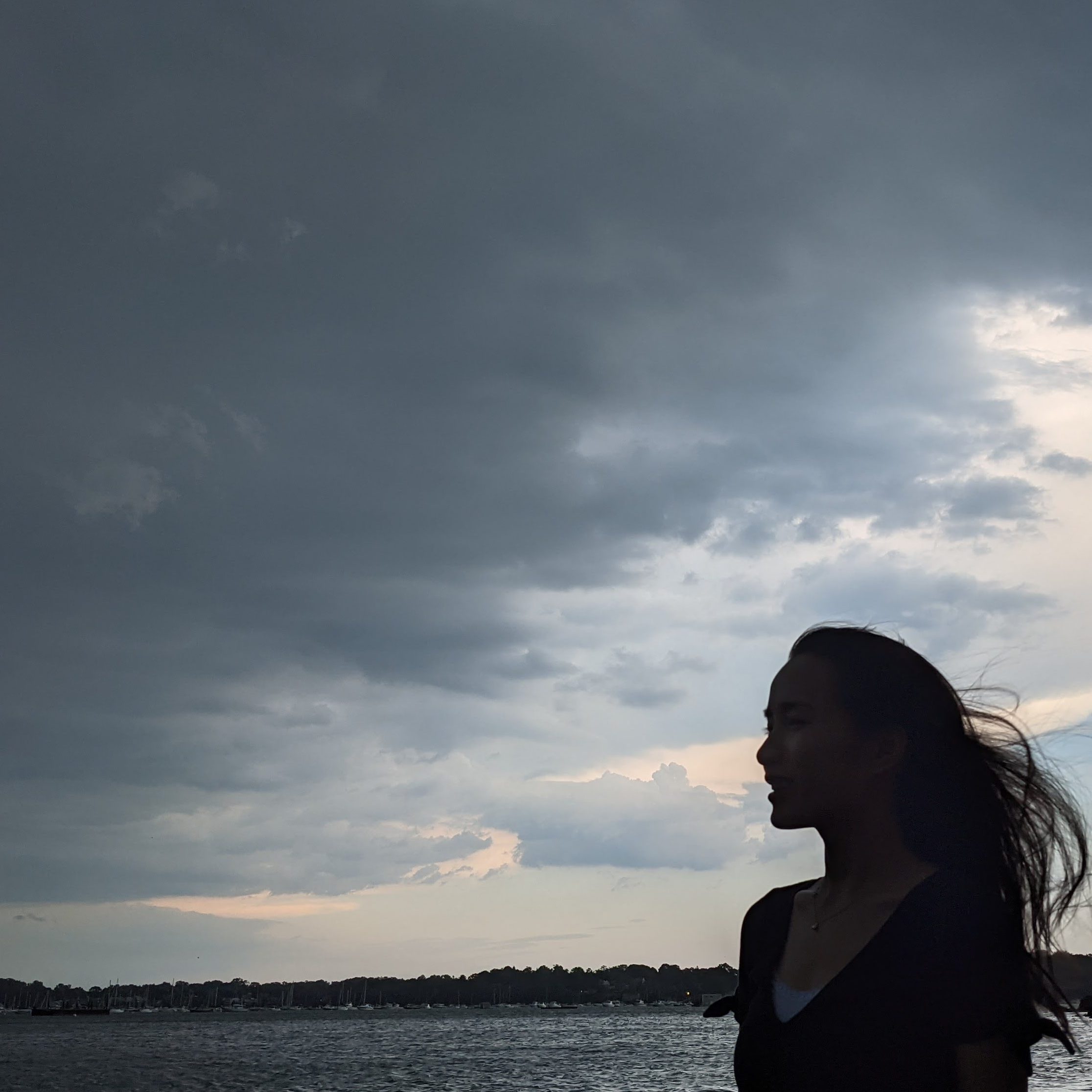 Silhouette of a person with flowing hair against a backdrop of dark storm clouds over water.