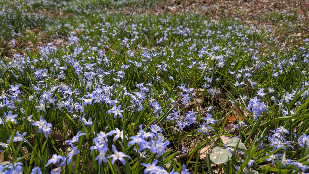 How to Deal with Grief After Job&nbsp;Loss?